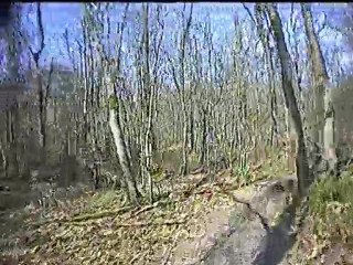 VTT en forêt de Buzet et alentours