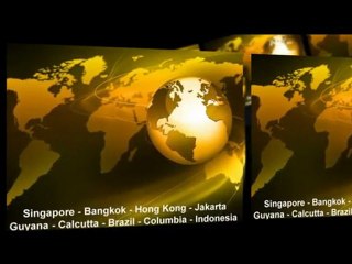 Tropical Fish Supplier and Importer For Pet Store Owners