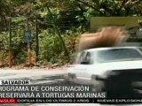 Lanzan programa de conservación de tortugas en El Salvador