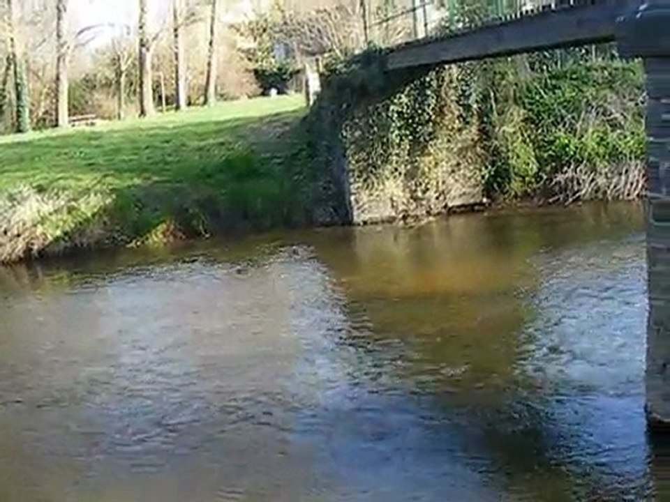 PONT du 06 04 2010 009