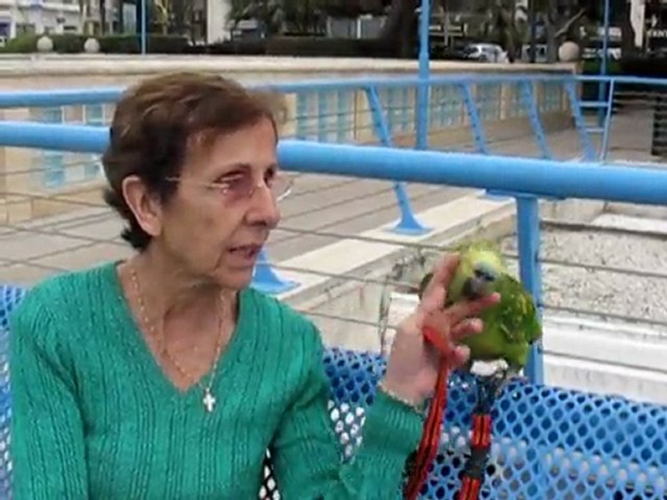 "Pépito"
