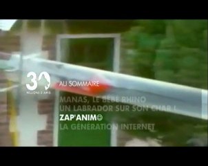 Sommaire émission 30 Millions d'Amis du 10 04 10