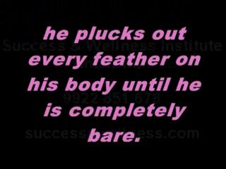 8 Key Principles for Achieving Success 🦅
