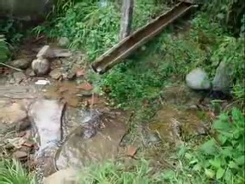 Ayhan Alptekin Kader