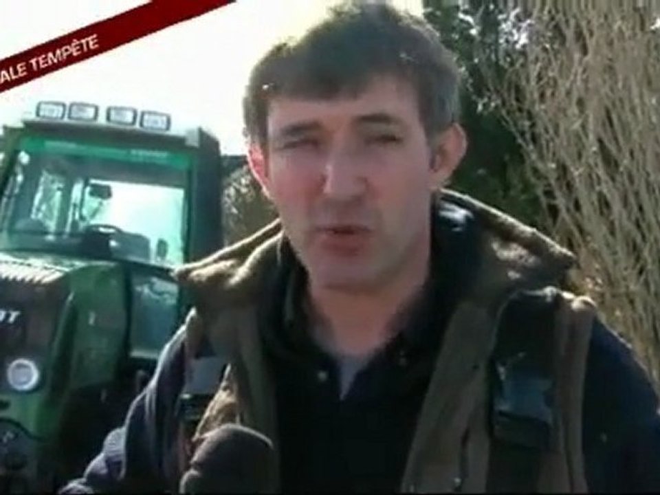 Spéciale Tempête - Les agriculteurs comptent les cadavres