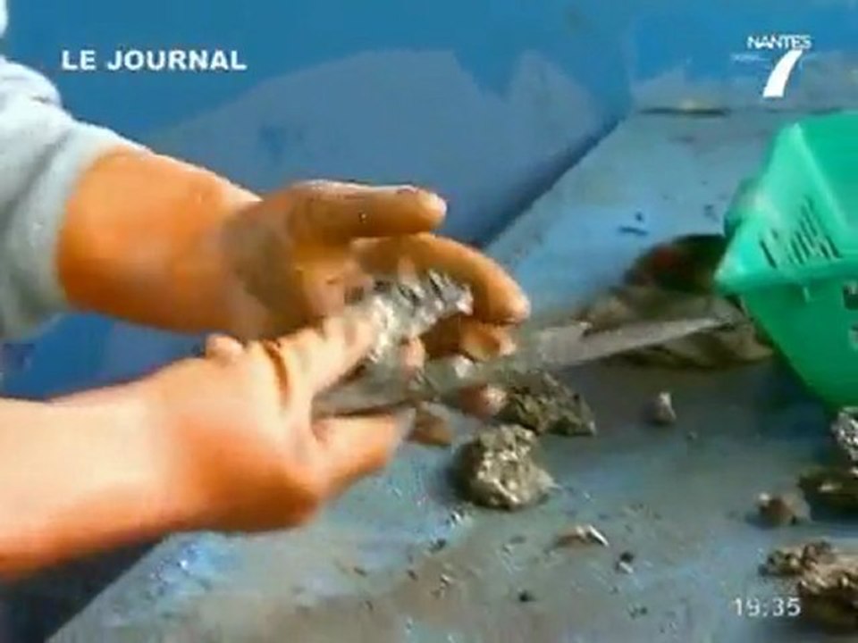 Les séquelles de la tempête de l'Ouest (Loire Atlantique)