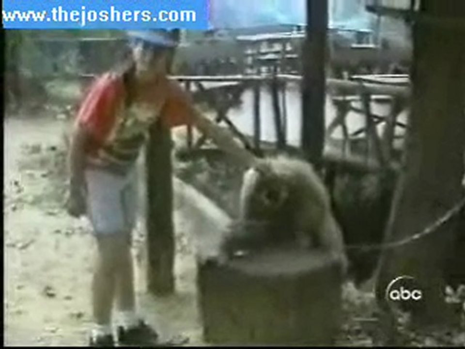 singe4