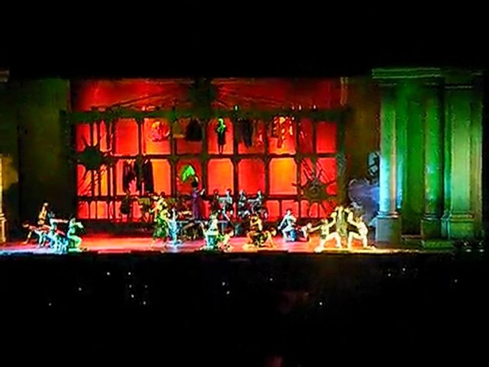 c'est le bien qui fait mal Mozart l'opéra rock