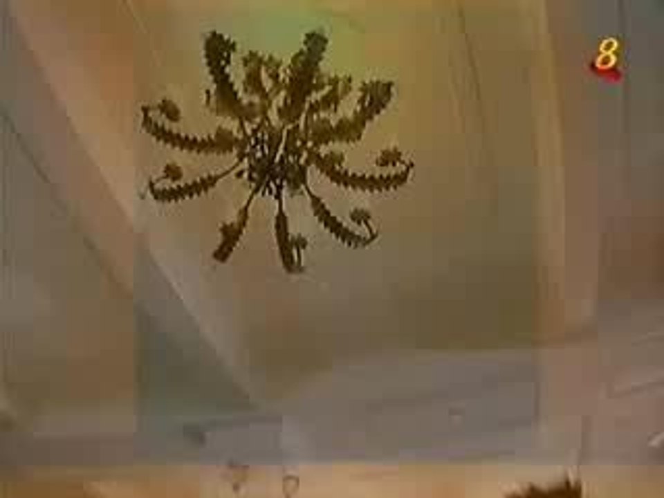 Meteor Garden 2: Episode 7 (2/5)