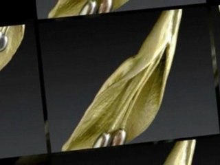 Michaud Strawberry Necklace