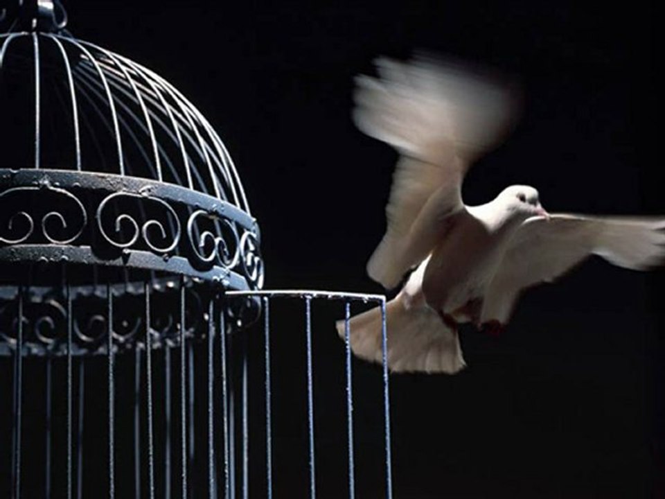 süper şarkı süper görüntüler