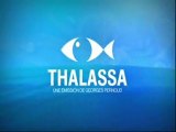 Thalassa : generique 2009-2010