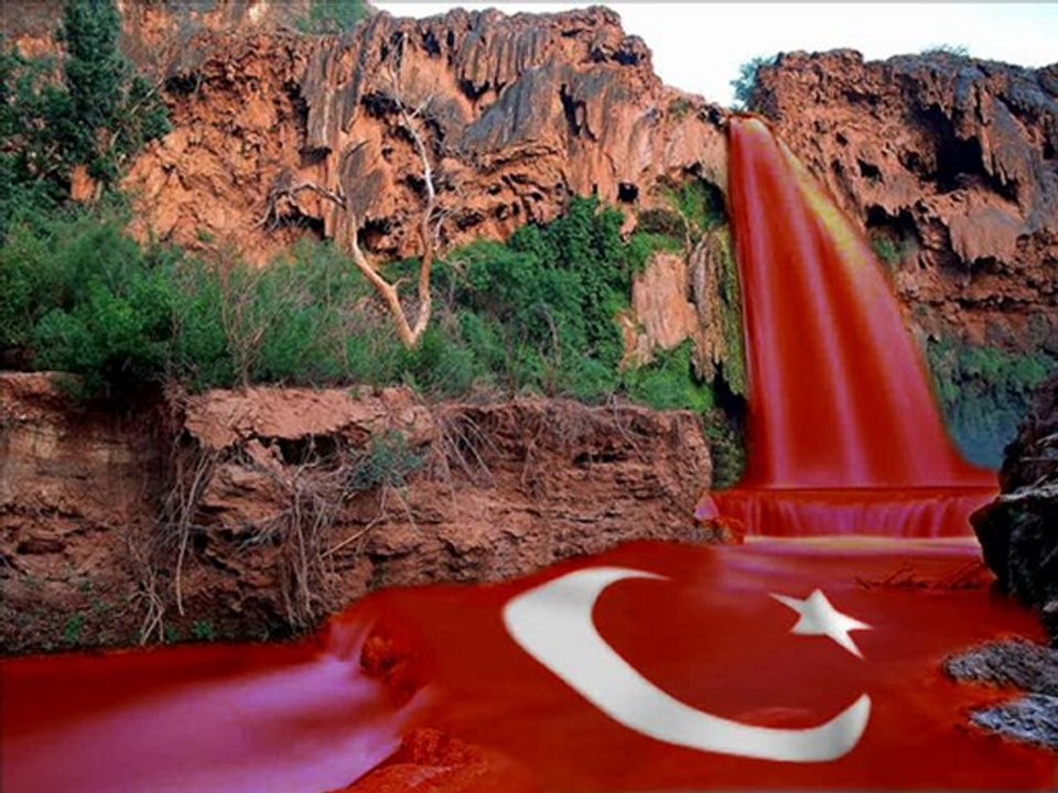 DELİ KURT  MHP cCc