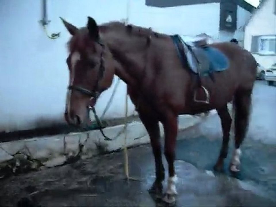 A la douche la Dict !