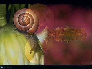 Rêveries : 2ème pps Fan & Jim