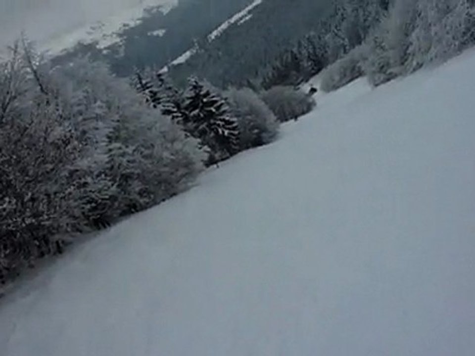 Nico et Ro noire au Schnepfenried