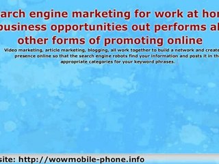 Leveraged Online Income Opportunity Marketing Systems