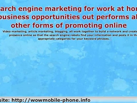 Leveraged Online Income Opportunity Marketing Systems