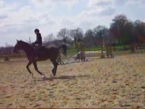 Perlani : reprise galop