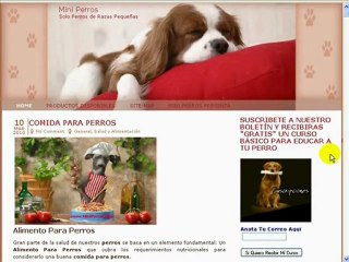 Como Educar Perro A Dar La Mano