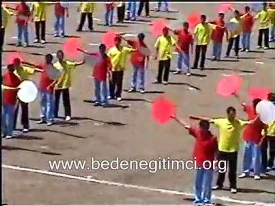 2006 VEZIR KÖPRÜ KARTONLU ERKEK HAREKETLERİ