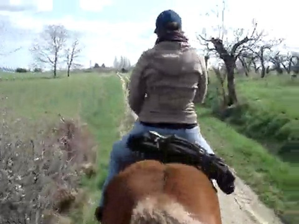 rando5avril