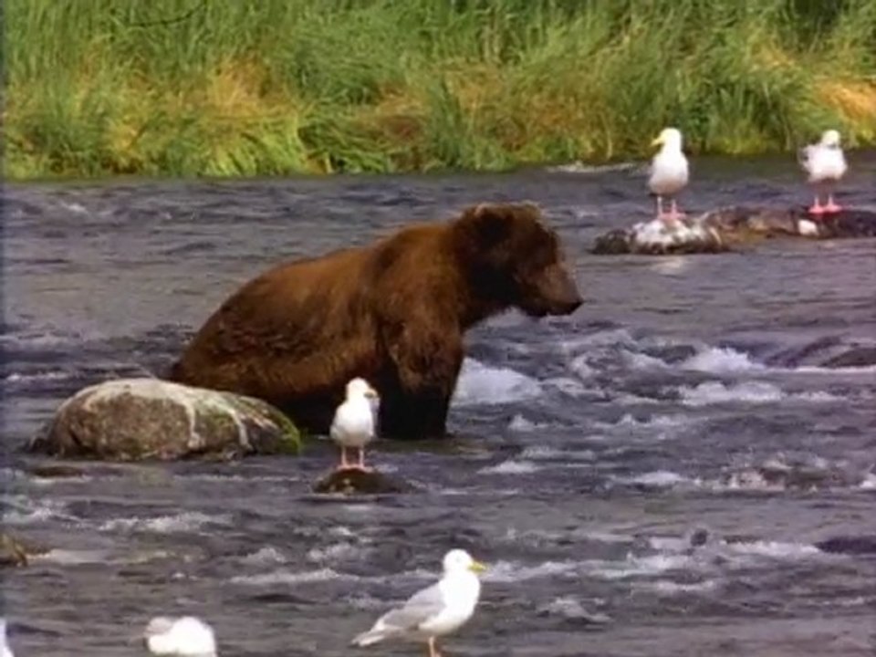 Que la nature est belle !!!