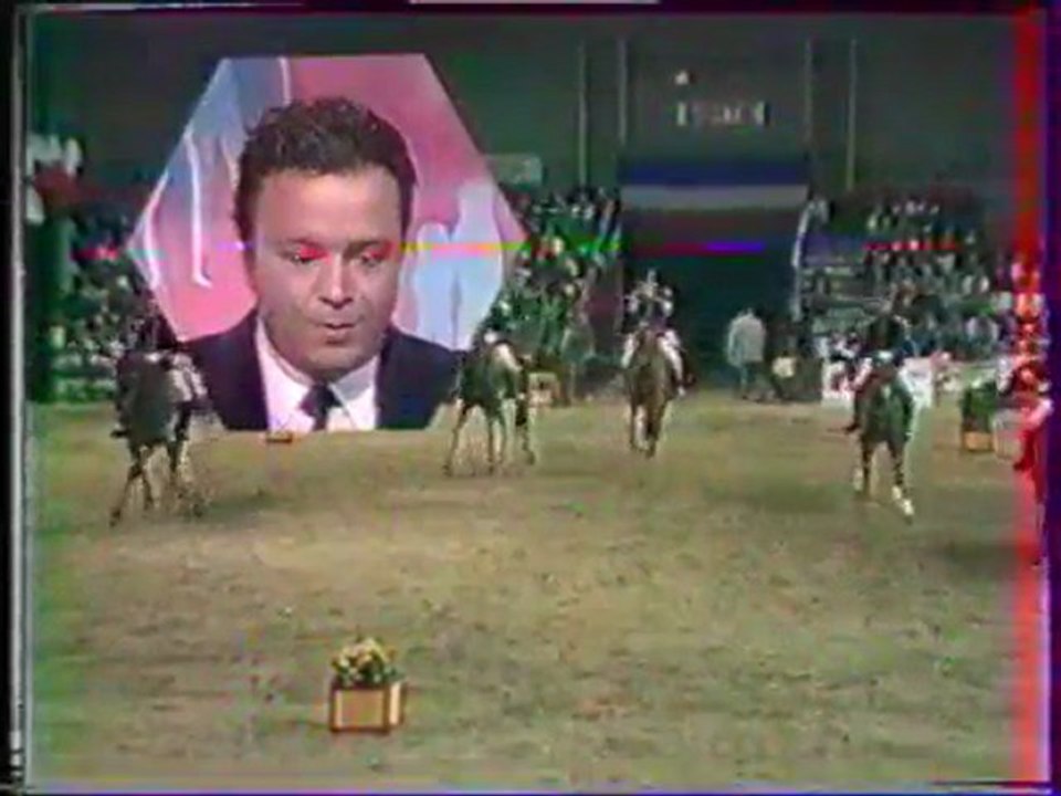 CSO Toulouse 84 (Puissance et Cadre Noir)