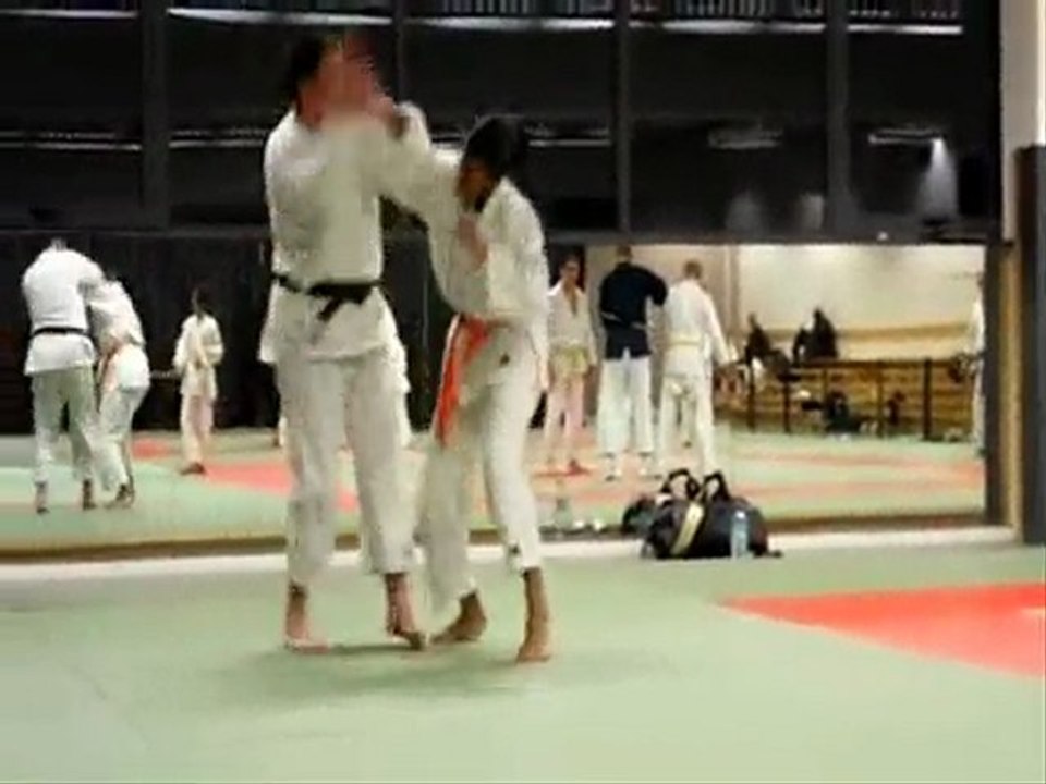 NIHON TAÏ JITSU
