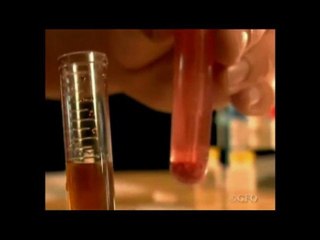 No Mosquito Breeding with Gutter Filter in Canada