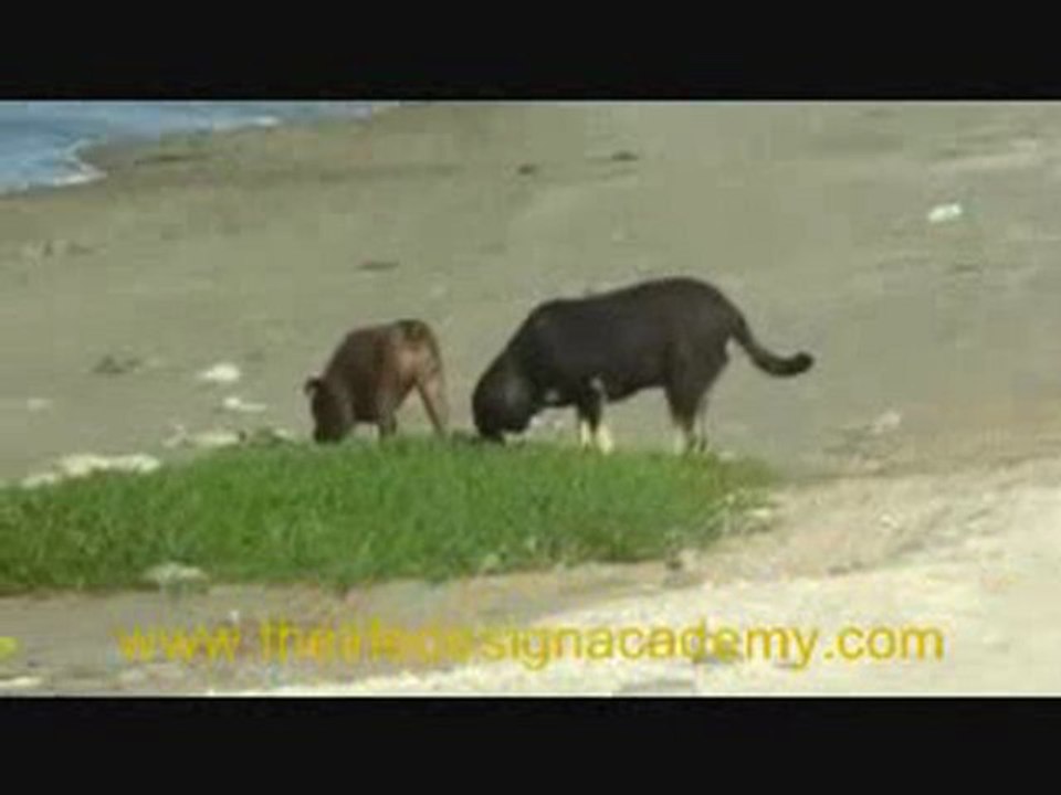 Best Motivational Speaker in Dubai - Dave Crane