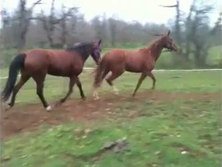 Longe pour tout le monde !