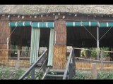 Travel To Care Hotel Tiger Tops Tented Camp Chitwan Nepal