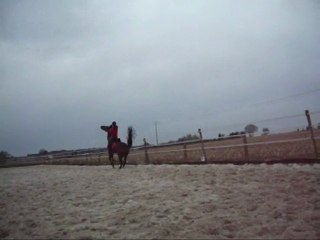 Finegold video 3 (sauts de moutons dehors)