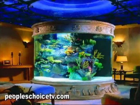 finding nemo at tropical fish in orange ca ocean blue