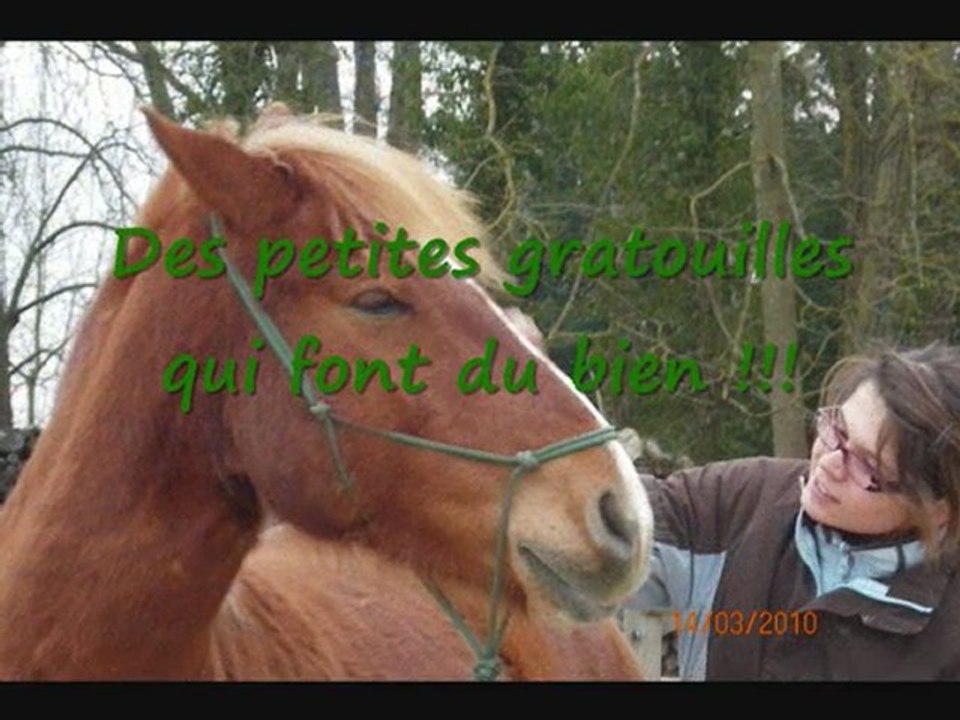 janvier 14.03.2010