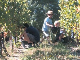 Chateau AD francos 1