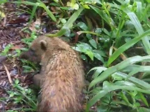 Les Roannais Voyagent