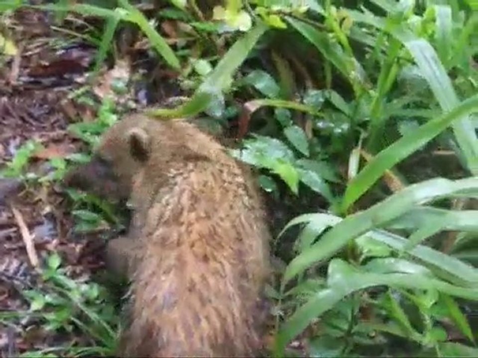 Les Roannais Voyagent