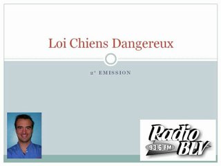 2°Emission: Loi Chiens dangereux