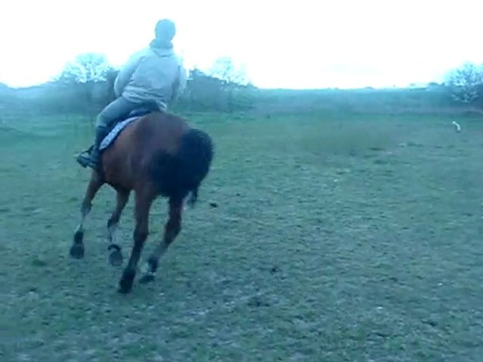 Galop--Pas
