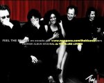 Feel the boogie- The Blues Lovers  (NOUVEL ALBUM)
