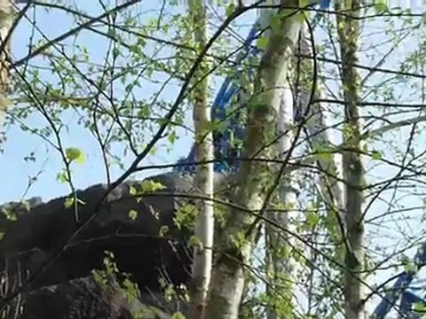 Blue Fire Europa Park HD