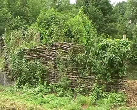 Opération Chico Mendes d'Hargnies