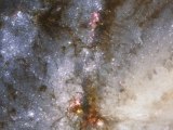 Hubblecast 34: Hubble snaps heavyweight of the Leo Triplet