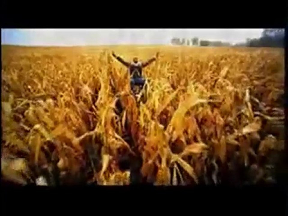 Canzoni per matrimonio | TOP 10  Taglio torta