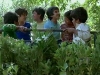 THE SONG OF SPARROWS trailer