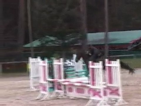 reve de gosse 1er hunter Avril 2010