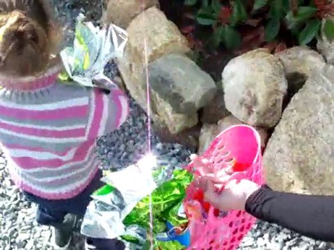 Sasha cherche les oeufs de Paques