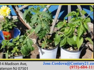 How To Plant a Vegetable Garden